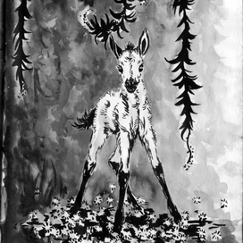 Дикий жеребенок