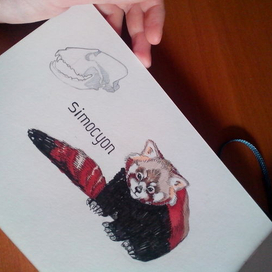 красная панда