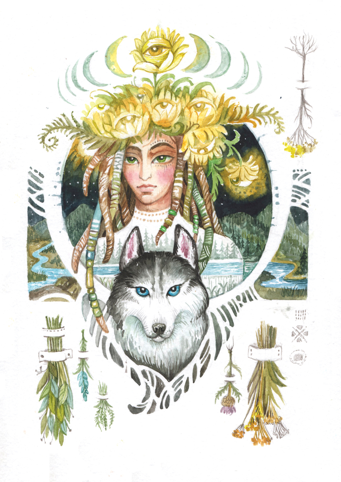 горные травы