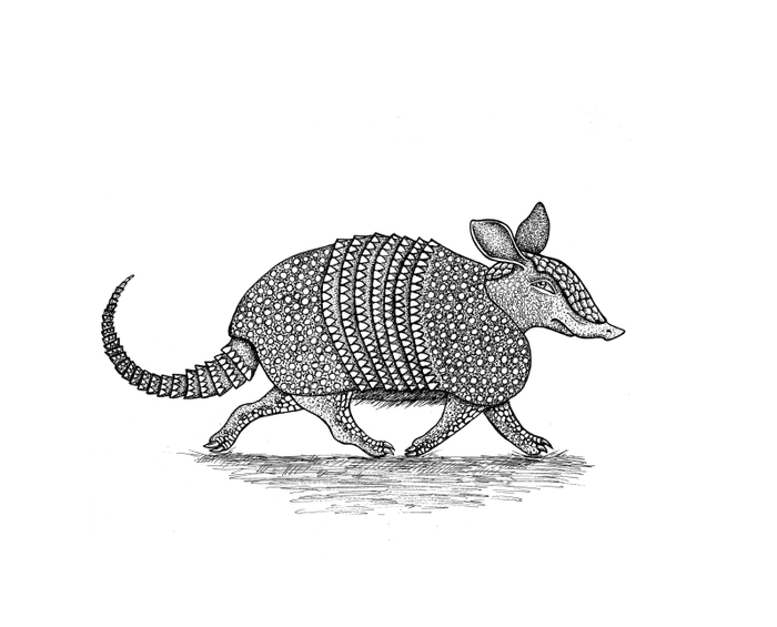 Броненосец