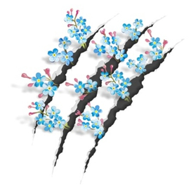 Всего лишь незабудки