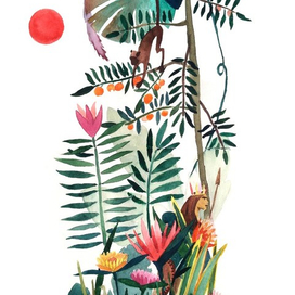 Тропический лес