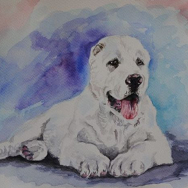 Малыш среднеазиатской овчарки