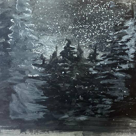 Лес, в черно белых тонах