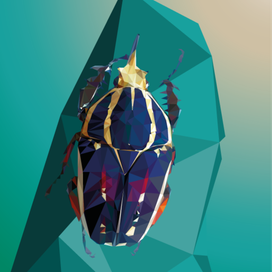 Угандская бронзовка