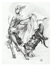 игры с быком