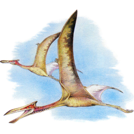Птерозавр кетцалькоатль