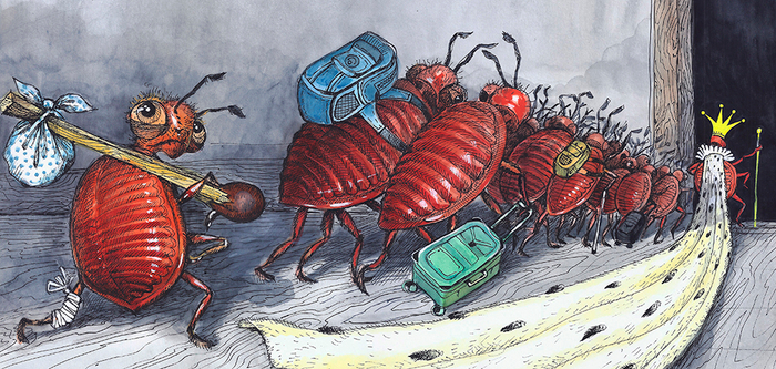 "Как папа клопов гонял"