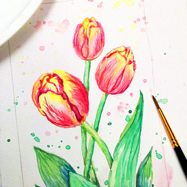 Тюльпаны