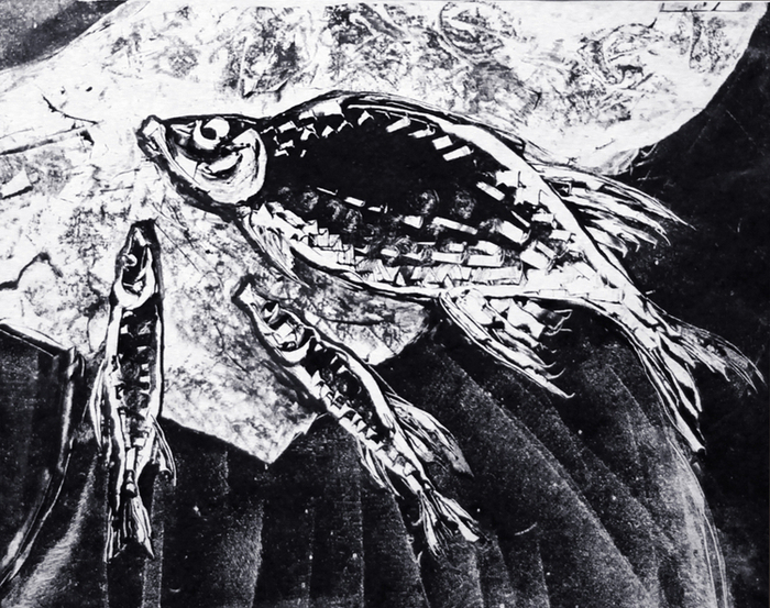 Рыбы на газете