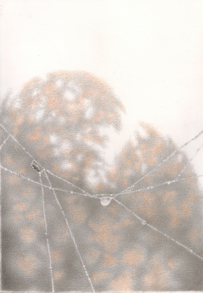 отражение, интоннации