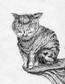 У судьбы на краю...