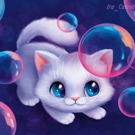 Котик играет с пузырями