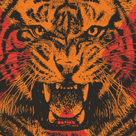 гравюра тигры