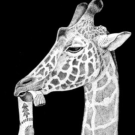 В ожидании чуда