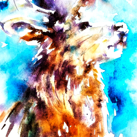 Лучшее время года