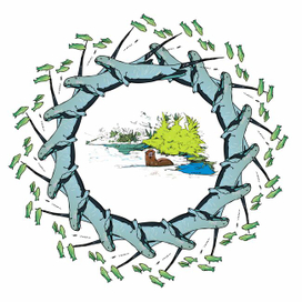 Выдры Бразильские