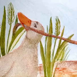 Иллюстрации к сказке "Утёнок и цыплёнок"