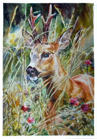 Лесной козлик