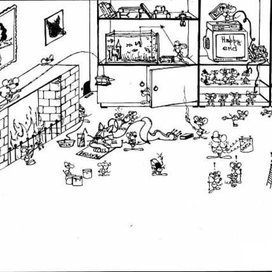 План захвата кота