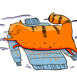 Сладкий сон