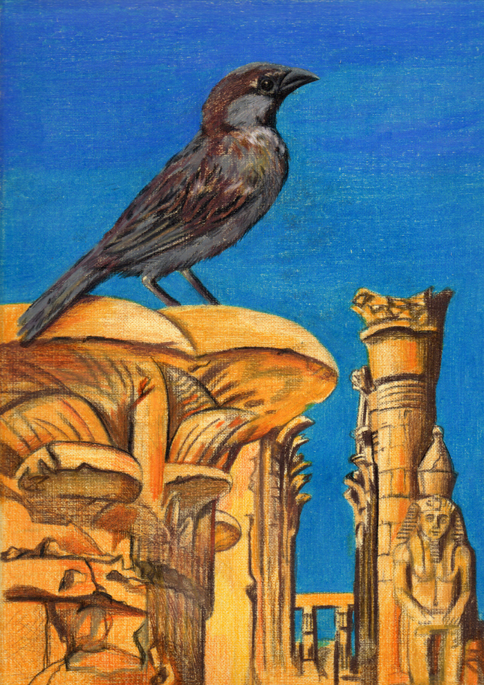 Иллюстрация книги Ю.Маслова Пряник для слона_храмовый воробей