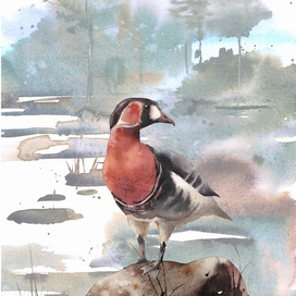 Акварель под анимацию