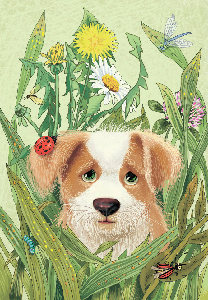 мячик потерялся и я тоже.