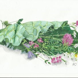 Цветы в листе лопуха