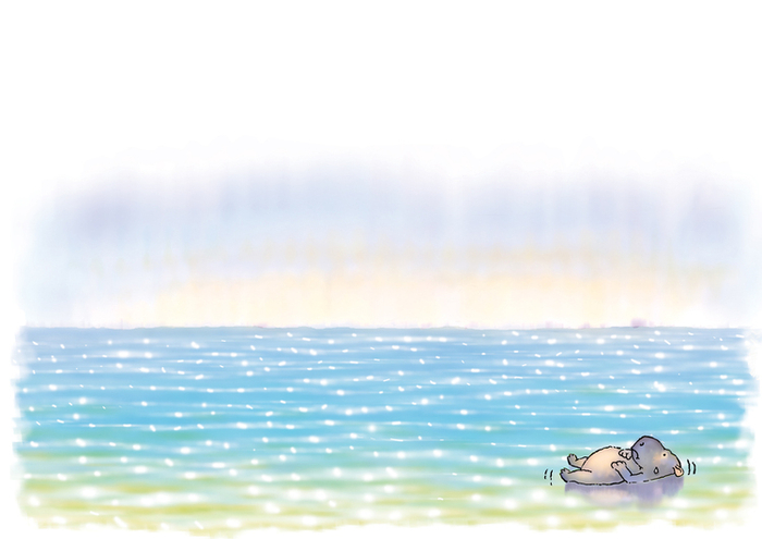 бегемотик, который заплыл куда не надо