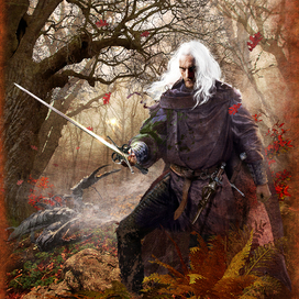 Анджэй Сапковский "Ведьмак"