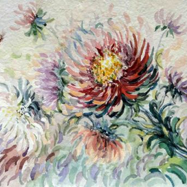 Хризантемы