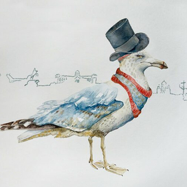 Чайка в Санкт-Петербурге