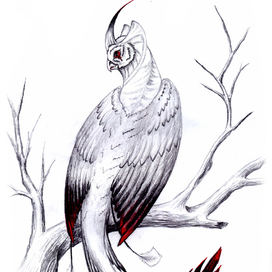 Серая птица