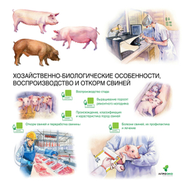 Постер для агрохолдинга "АгроЭКО"