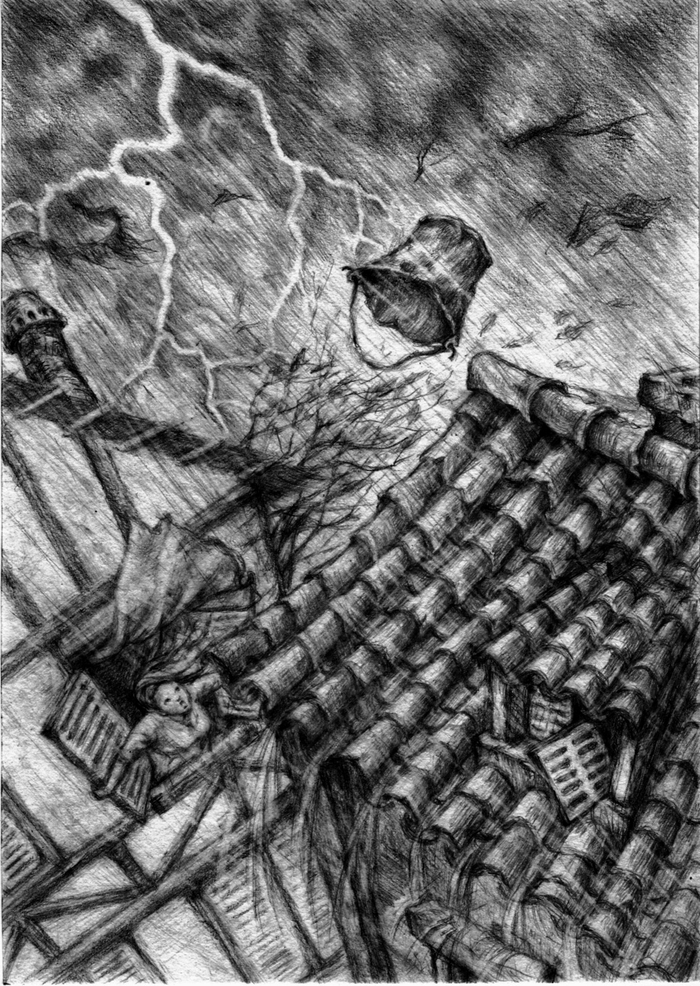1-14-1 Гроза