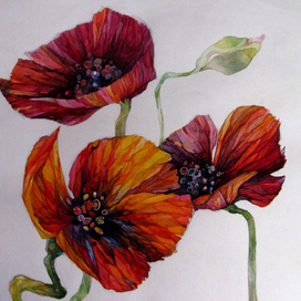 МАКИ фрагмент 2 