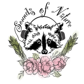 Звуки природы