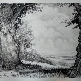 Летний дубовый лес