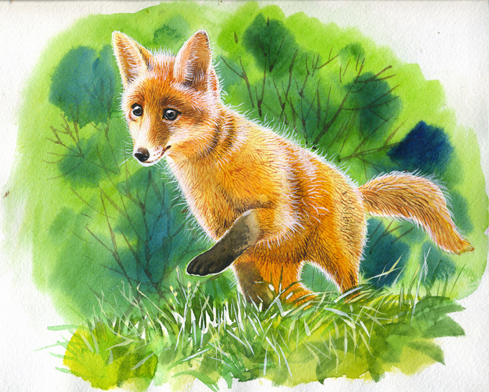 Иллюстрация к книге ,,Ребятам о зверятах,,