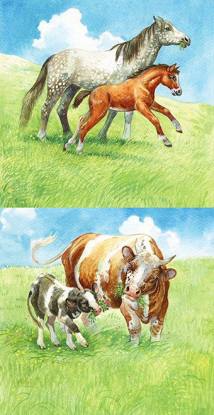 "Мамы и Малыши"