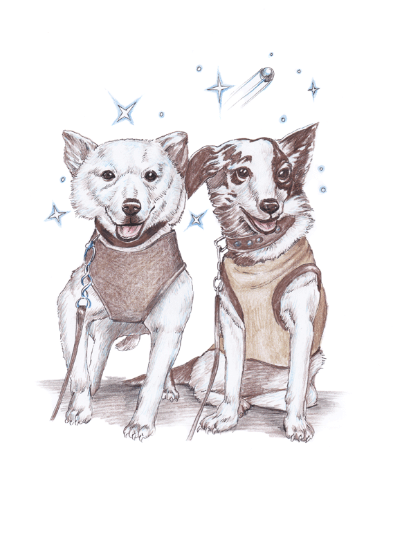 Иллюстрация к детской книге. Белка и Стрелка.