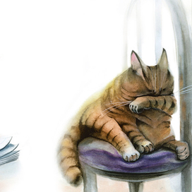 Вредный кот