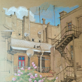 коты и розы