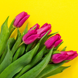 Бездепозитные казино: Возможность игры без риска