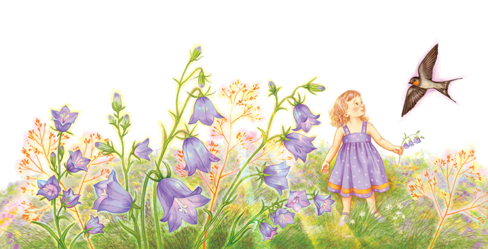 Колокольчики