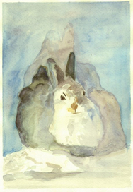 заяц на снегу