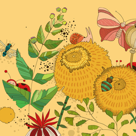 де сховались сонечка?