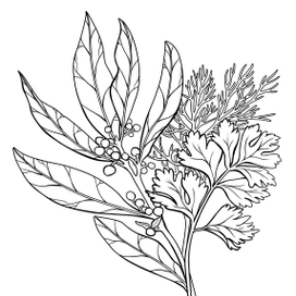 Иллюстрация для ежедневника