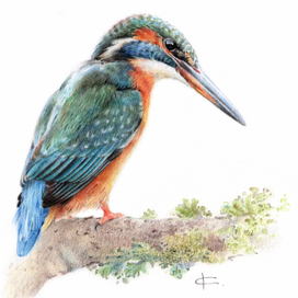 8 марта. Корпоративный подарок